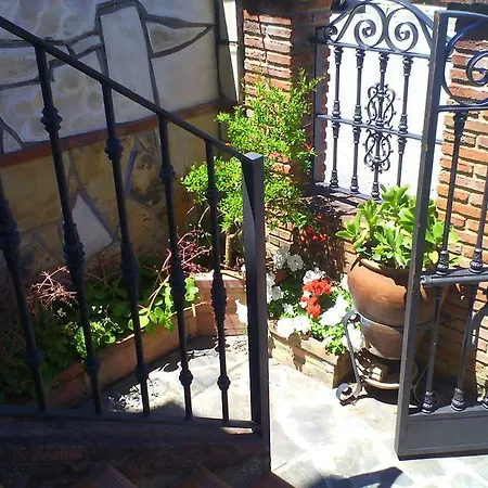Huerta San Miguel 2010 *